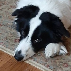 Fundraising Page: Maureen Grady